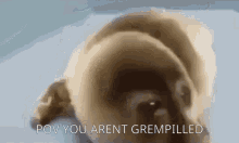 Grempill GIF - Grempill GIFs