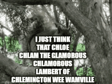 chloe chlam lambert chlamorous glamorous