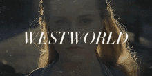 Westworld GIF - Westworld GIFs