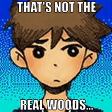 Thats Not The Real Woods Omori Hero GIF