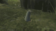 Ratatouille Ratatouille Video Game GIF - Ratatouille Ratatouille Video Game Video Game GIFs