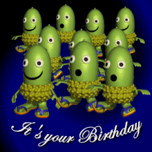 its your birthday happy birthday birthday wishes funny birthday message birthday celebration