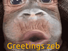 Zeb Hi GIF - Zeb Hi Hello GIFs