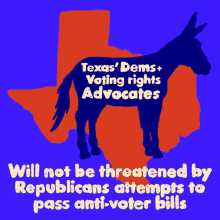 Texas Dems Voting Rights Advocate Will Not Be Threatened GIF