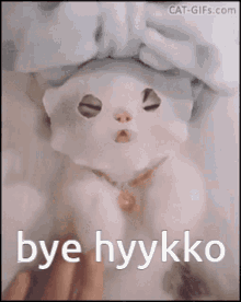 Hykko Hyykko GIF - Hykko Hyykko Cat GIFs