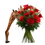a giraffe holding a bouquet of red roses with the words thanks babe