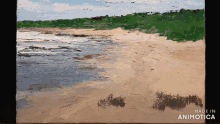a painting of a beach with the words made in animotica below it