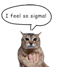 a person holding a cat with a speech bubble saying i feel so sigma