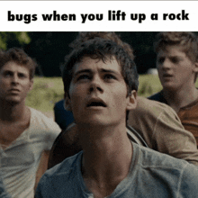 a group of young men are looking up at the sky with the caption bugs when you lift up a rock
