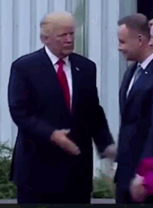 Donal Trump GIF - Donal Trump GIFs