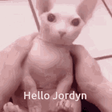 Hello Jordyn GIF - Hello Jordyn GIFs