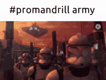 promandrill mandrill jj promandrill army gng