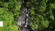 Kochi Todoro Fall Water Falls GIF - Kochi Todoro Fall Water Falls Nature GIFs