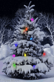 Happy Christmas Happy Holidays GIF - Happy Christmas Happy Holidays Christmas Tree GIFs