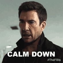 Calm Down Supervisory Special Agent Remy Scott GIF - Calm Down Supervisory Special Agent Remy Scott Fbi Most Wanted GIFs
