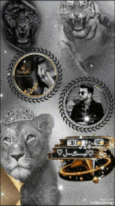 a picture of a lion wearing a crown and a man with sunglasses