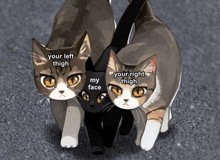 three cats standing next to each other with your left thigh your right thigh and my face