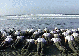 Navy Seals Training Camp