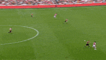 a soccer field with fly emirates advertisements on the side