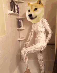 Doge Coin Shower Doge Coin Shave GIF