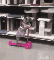 Ride Scooter GIF - Ride Scooter Mobility GIFs