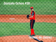 Gonzalo Ochoa GIF - Gonzalo Ochoa Baseball GIFs