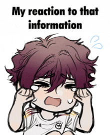 a drawing of a person crying with the words " my reaction to that information " above them