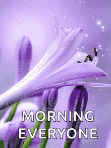 Good Morning Sparkles GIF - Good Morning Sparkles Purple GIFs