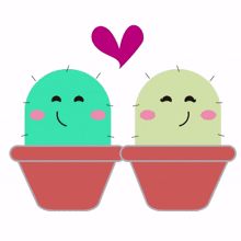 cactus cute couple love delight