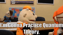 theory theory