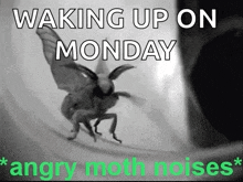 Angry Moth GIF