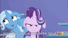 My Little Pony Wuving Your Grumpy Self GIF - My Little Pony Wuving Your Grumpy Self Twilight Sparkle GIFs