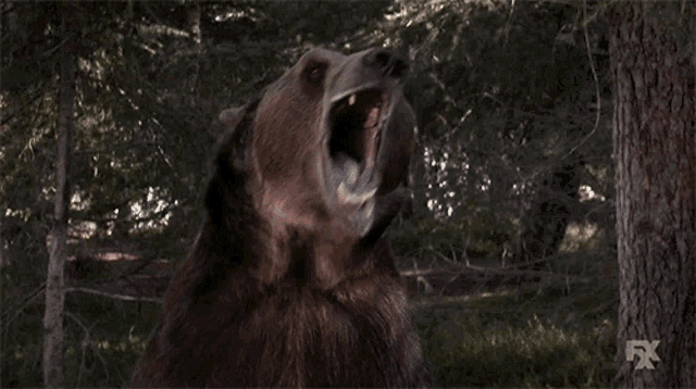 Grizzly Bear Roar GIF - Grizzly Bear Roar Scream - Discover & Share GIFs