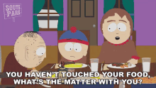 You Havent Touched Your Food Whats The Matter With You Stan Marsh GIF - You Havent Touched Your Food Whats The Matter With You Stan Marsh Sharon Marsh GIFs