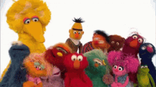 Sesame Street GIF - Sesame Street Elmo GIFs