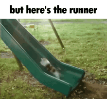 but heres the runner cat run slide but heres