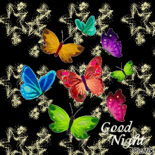 Good Night Butterfly GIF - Good Night Butterfly Star GIFs
