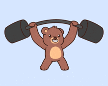 a teddy bear is holding a barbell over its head