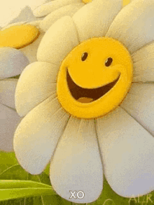 flower wink smiles good times emoji