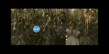 a man and a woman are standing in a field of tall grass with a gif icon above them .