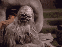 Ogvhs Wookie GIF - Ogvhs Wookie Plane GIFs