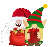 a couple of gnomes wearing santa hats and holding presents