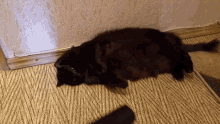 Cat Lazy GIF - Cat Lazy Cleaning GIFs