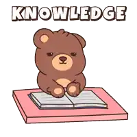 a teddy bear sits at a desk reading a book with the word knowledge above him