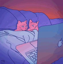Laptop Watching GIF - Laptop Watching Cats GIFs
