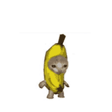 Banana Cat Banana GIF - Banana Cat Banana Cat GIFs