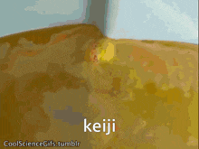 Keiji Yttd GIF - Keiji Yttd Your Turn To Die GIFs