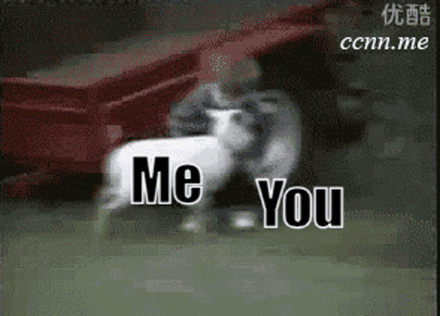 Me Attack You GIF - Me Attack You GIFs