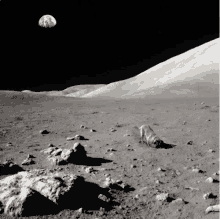 Rover Moon GIF - Rover Moon Dog On The Moon GIFs