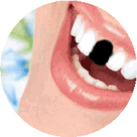 Teeth Smile Sticker - Teeth Smile Movingteeth Stickers